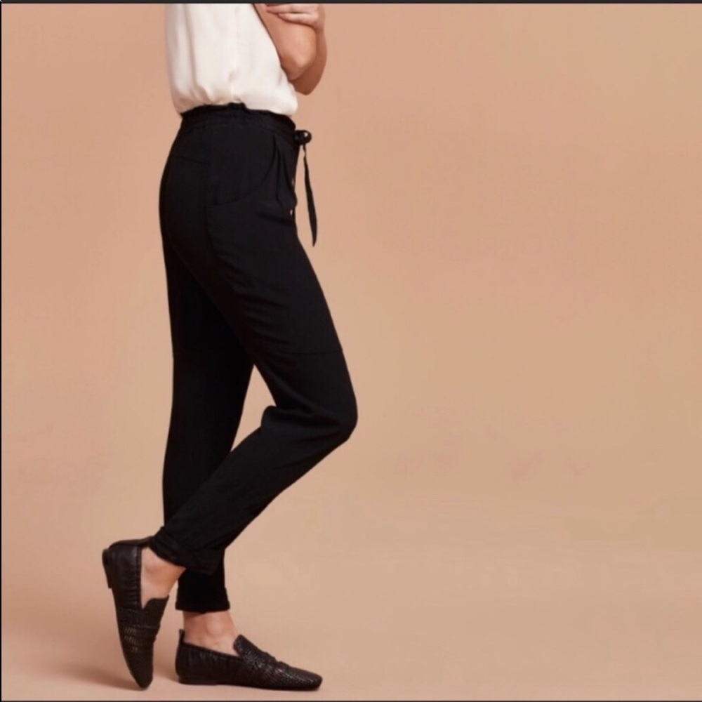 ARITZIA Wilfred silk mourai pants s 4, well worn.